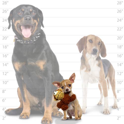 Tuffy Dog Toys - VIP Products - Mighty Jr Microfiber Ball Monkey, Durable, Squeaky Dog Toy - Dog.Dog.Cat.