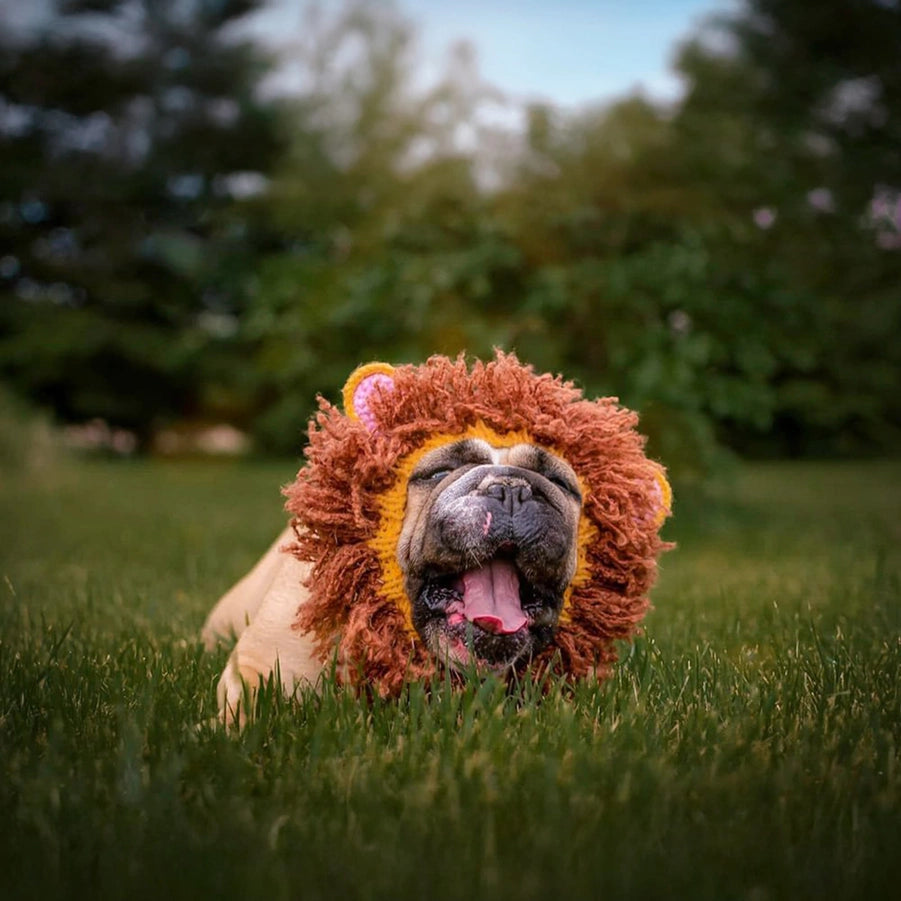 Zoo Snoods -Lion Dog Snood - Dog.Dog.Cat.