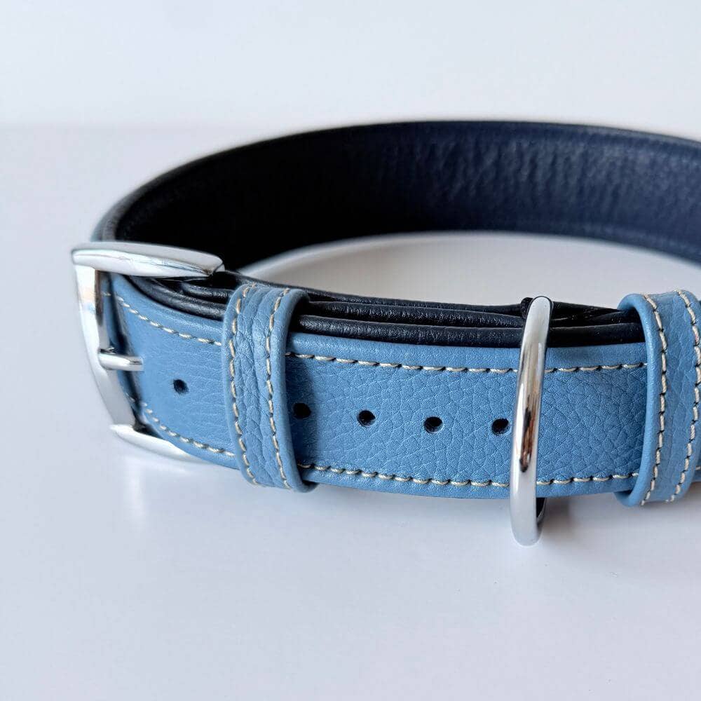 Premium Leather Dog Collar | Turquoise & Navy Blue - Dog.Dog.Cat.