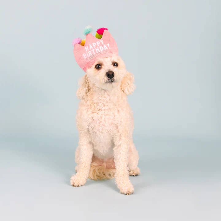 PetShop by Fringe Studio If The Crown Fits Plush Dog Toy - Dog.Dog.Cat.
