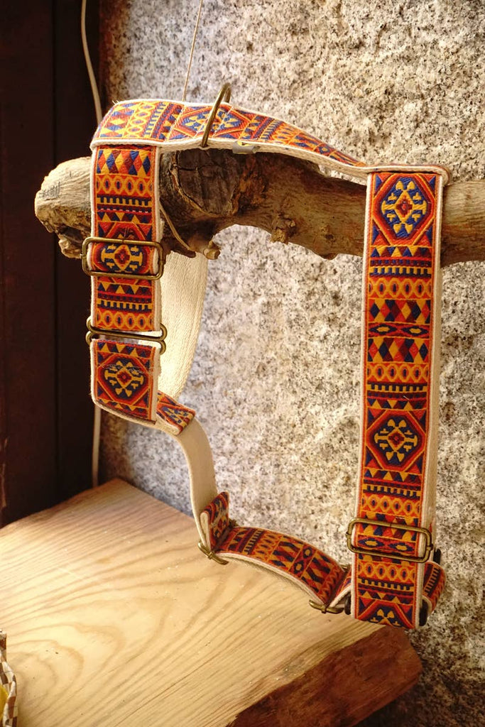 hundsfutter - "Ruben" dog harness and leash - Dog.Dog.Cat.