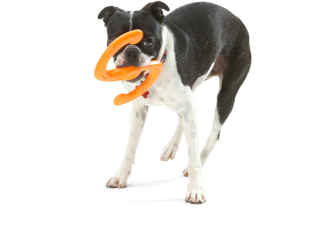 West Paw - Bumi® Dog Toy for Chew, Tug, and Fetch - Dog.Dog.Cat.