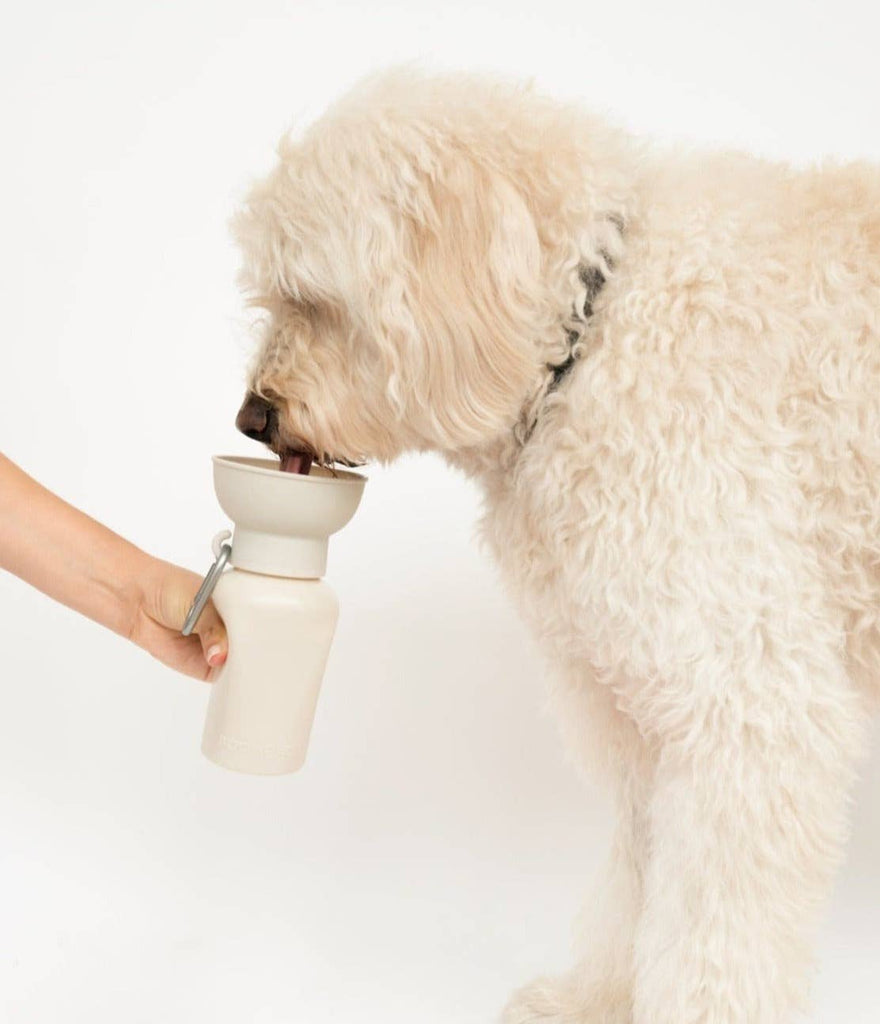 Dog Travel Water Bottle, 20oz, Flip Silicone - Dog.Dog.Cat.