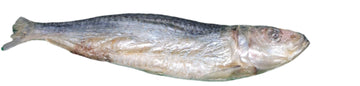 Freeze Dried Dog Treats - Freeze Dried Sardine - Dog.Dog.Cat.
