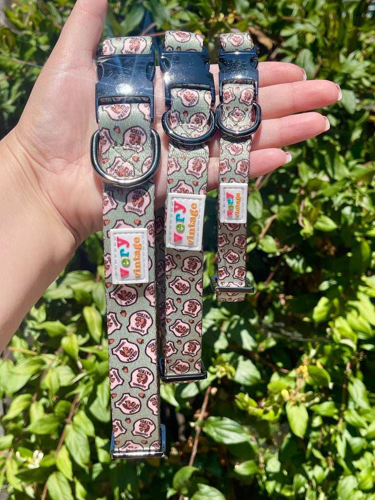 Very Vintage Designs - Squirrel Patrol - Green Squirrel Recycled Collar & Leash - Dog.Dog.Cat.