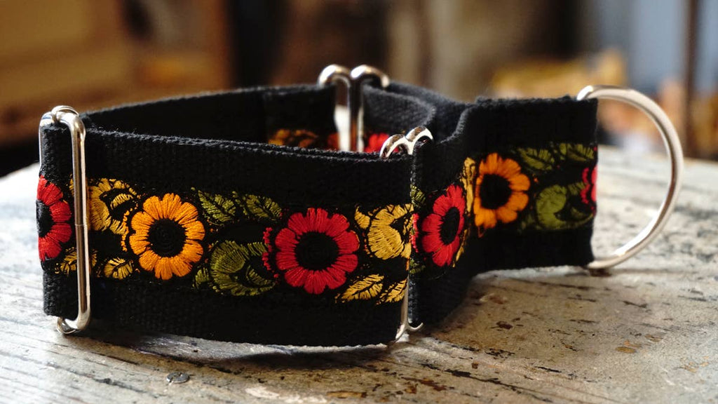 hundsfutter - Wide collar anti escape design - Dog.Dog.Cat.