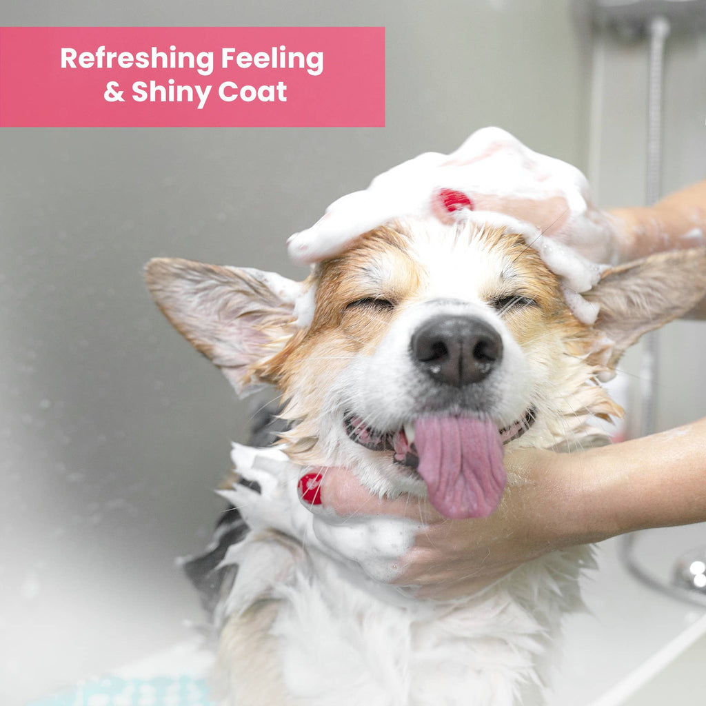 Aroma Paws - 13.5 Oz. Shampoo Pomegranate Cucumber - Dog.Dog.Cat.