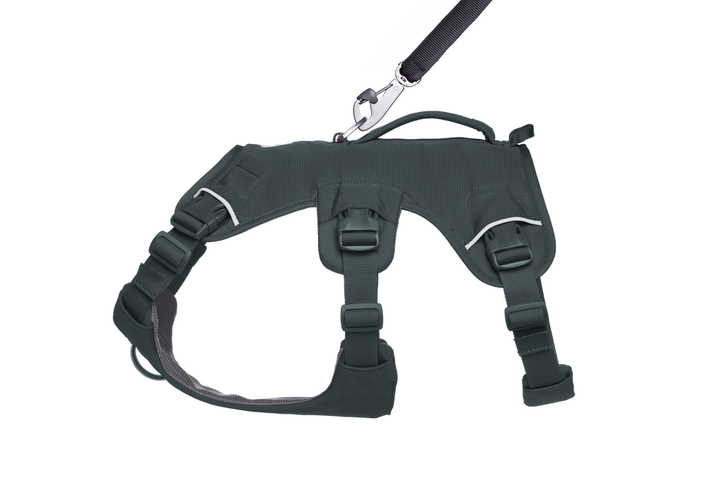 Web Master™ Dog Harness with Handle harness with neck buckle and handle - Dog.Dog.Cat.
