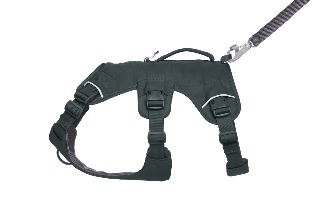 Web Master™ Dog Harness with Handle harness with neck buckle and handle - Dog.Dog.Cat.