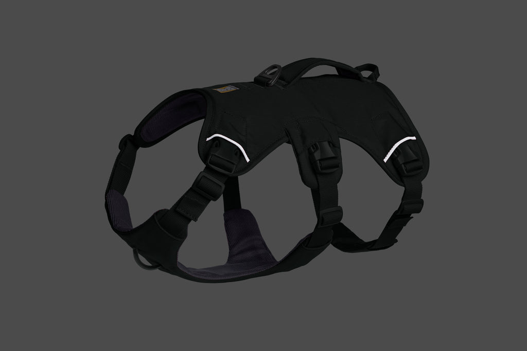 Web Master™ Dog Harness with Handle harness with neck buckle and handle - Dog.Dog.Cat.