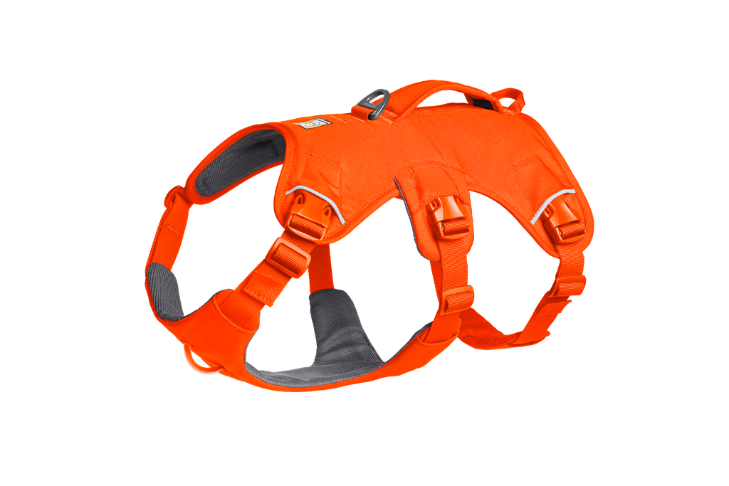 Web Master™ Dog Harness with Handle harness with neck buckle and handle - Dog.Dog.Cat.