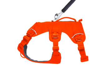Web Master™ Dog Harness with Handle harness with neck buckle and handle - Dog.Dog.Cat.