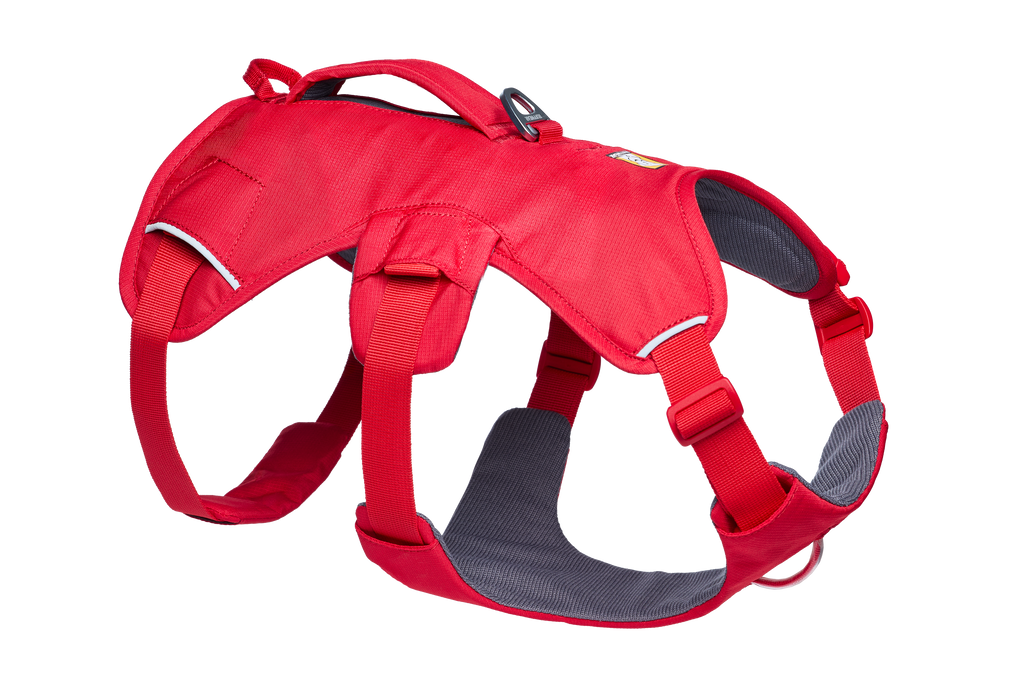 Web Master™ Dog Harness with Handle harness with neck buckle and handle - Dog.Dog.Cat.