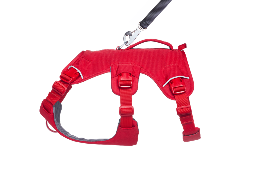 Web Master™ Dog Harness with Handle harness with neck buckle and handle - Dog.Dog.Cat.