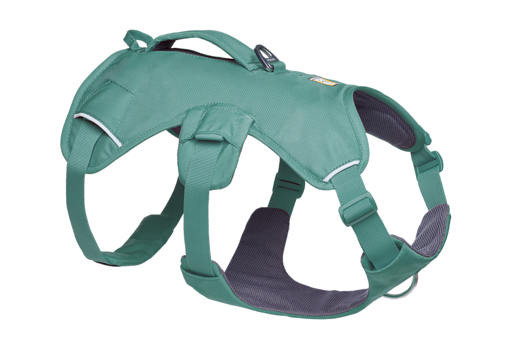 Web Master™ Dog Harness with Handle harness with neck buckle and handle - Dog.Dog.Cat.