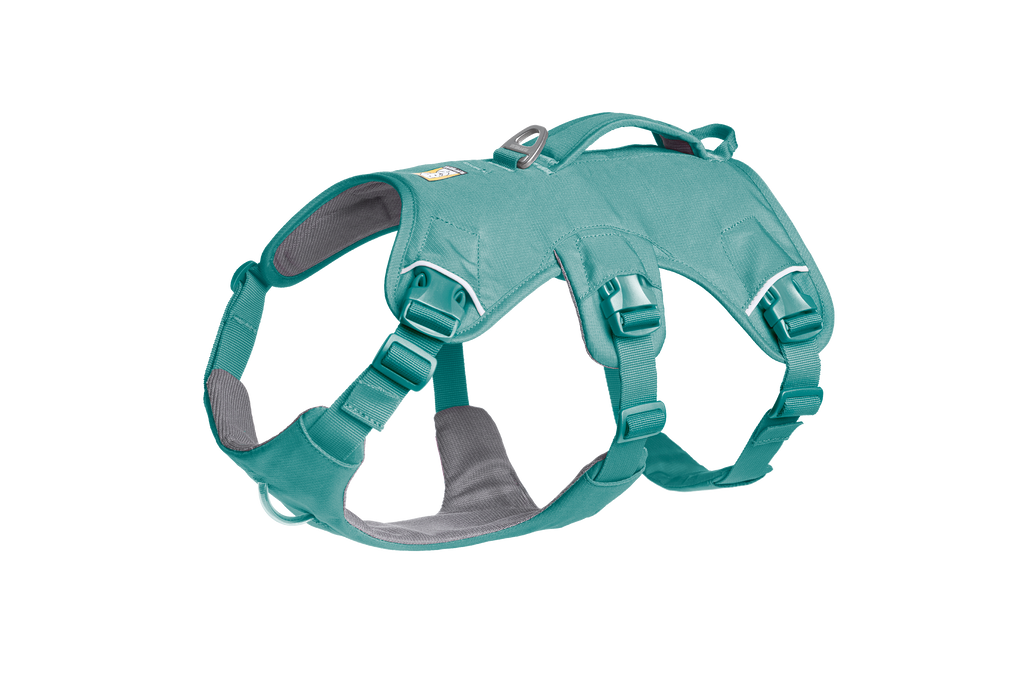 Web Master™ Dog Harness with Handle harness with neck buckle and handle - Dog.Dog.Cat.