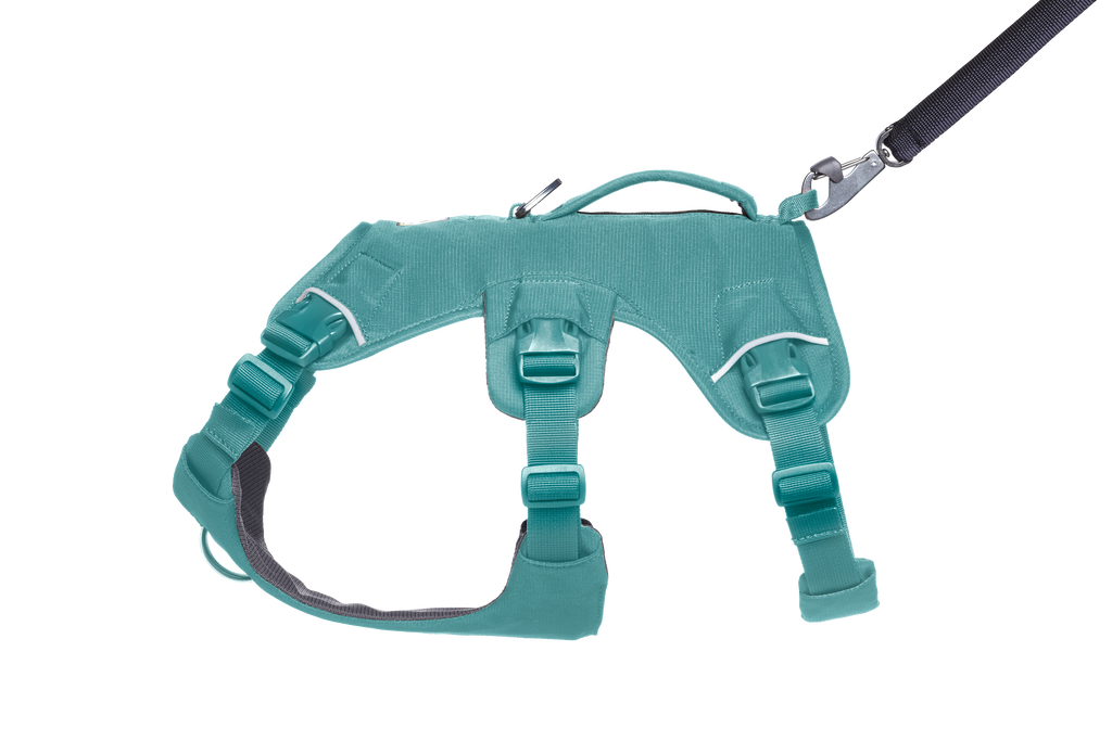 Web Master™ Dog Harness with Handle harness with neck buckle and handle - Dog.Dog.Cat.