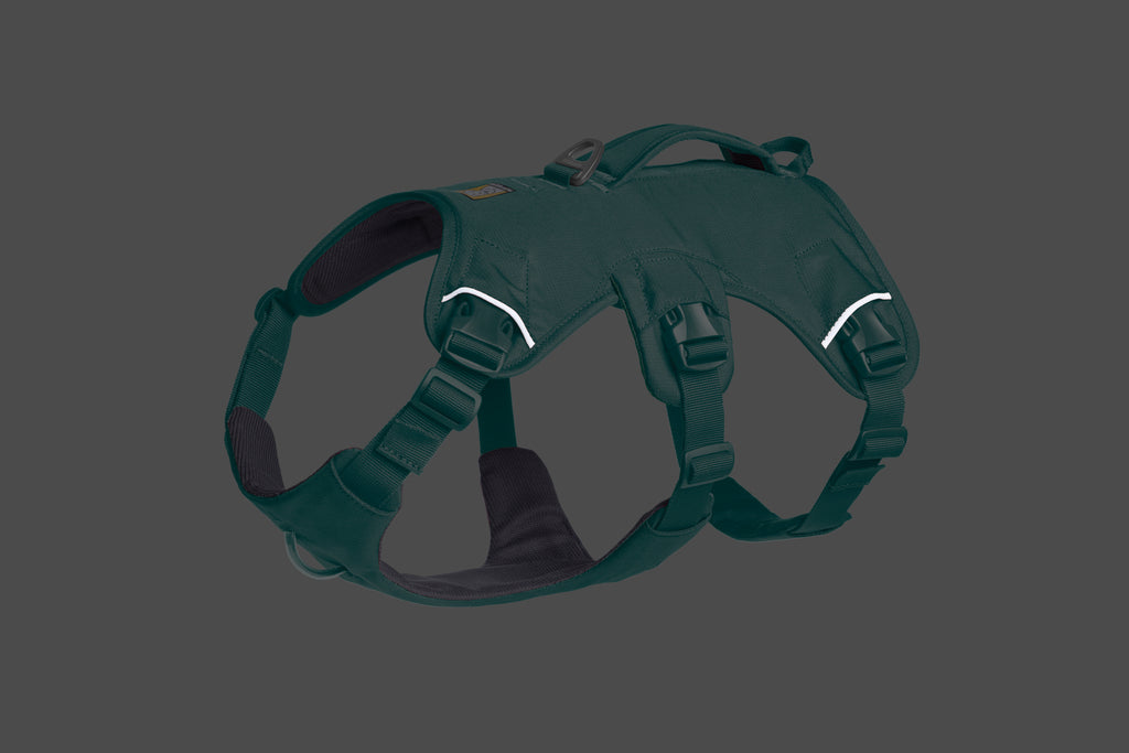 Web Master™ Dog Harness with Handle harness with neck buckle and handle - Dog.Dog.Cat.