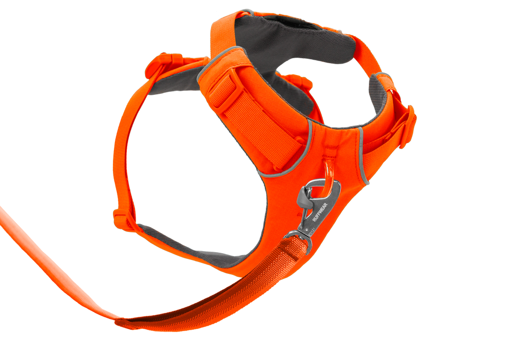 Front Range® Dog Harness by Ruffwear, padded for everyday adventure and comfort - Dog.Dog.Cat.