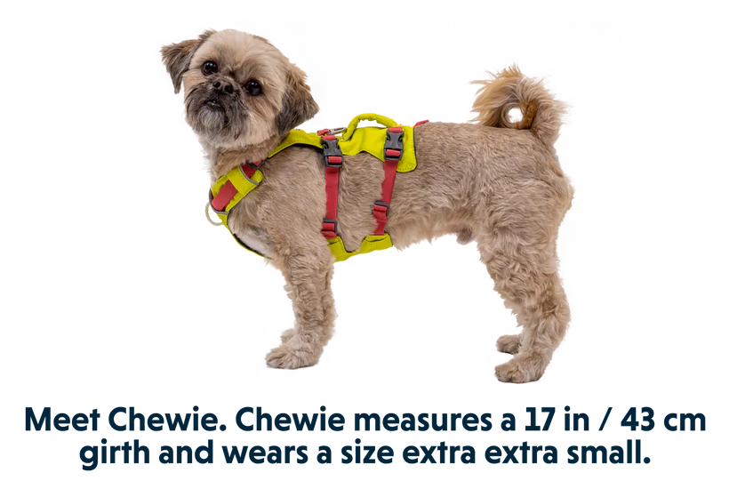 Ruffwear Flagline Harness - Dog.Dog.Cat.