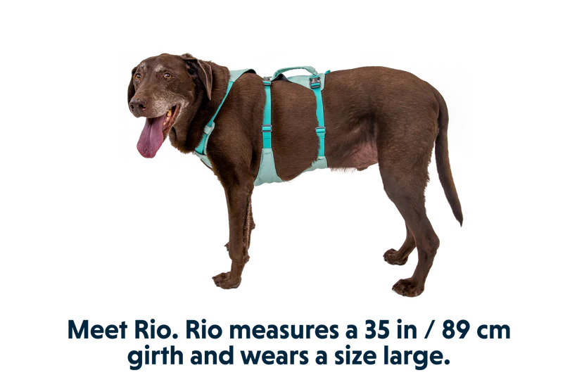Ruffwear Flagline Harness - Dog.Dog.Cat.