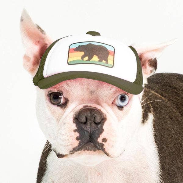 Bear Standard Lake Tahoe | Trucker Hat for Dogs - Dog.Dog.Cat.