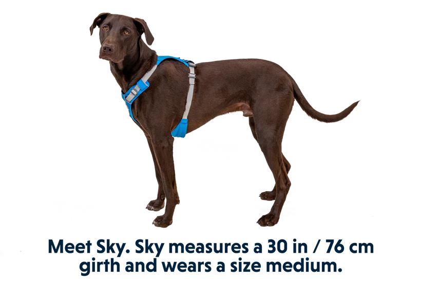 Ruffwear Hi & Light Lightweight Harness - Dog.Dog.Cat.
