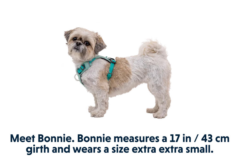 Ruffwear Hi & Light Lightweight Harness - Dog.Dog.Cat.