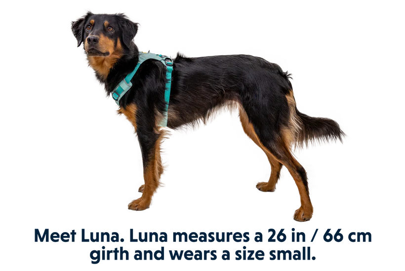 Ruffwear Hi & Light Lightweight Harness - Dog.Dog.Cat.