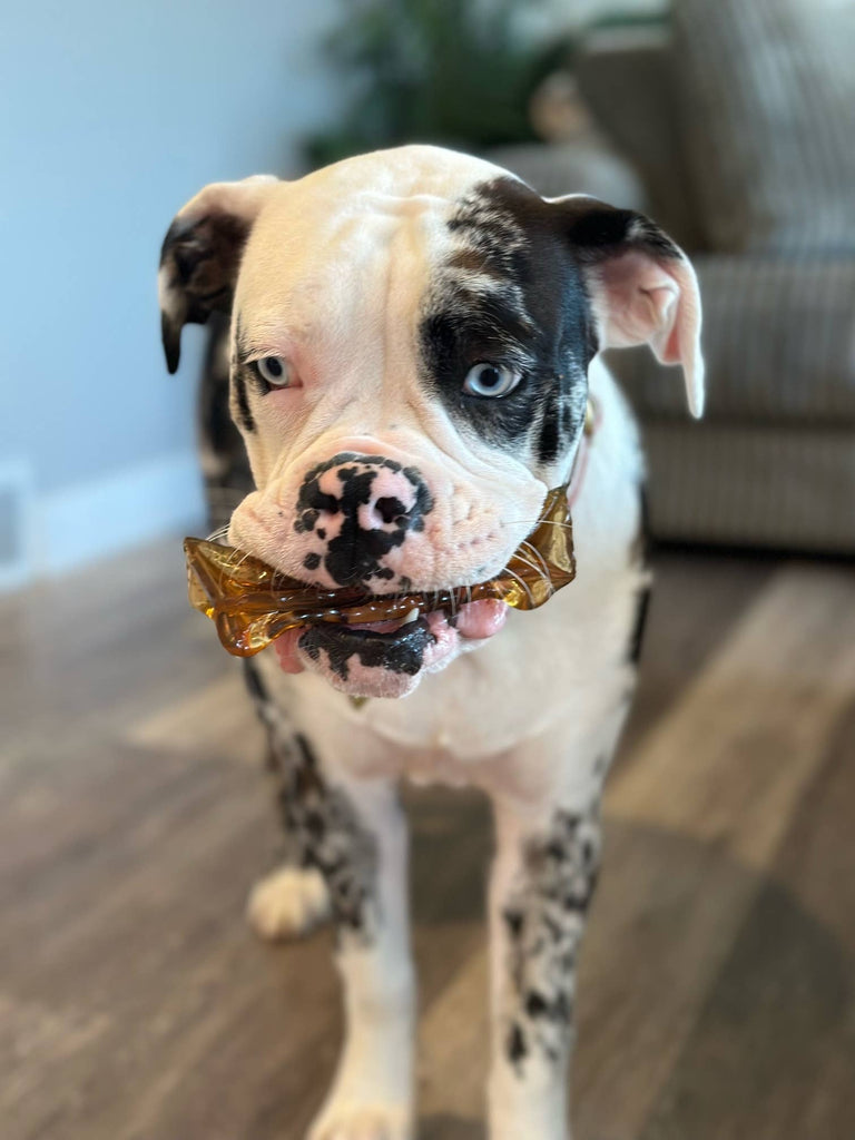 Mighty Marrows Collagen Dental Chew - Beef Liver - SM/LG - Dog.Dog.Cat.