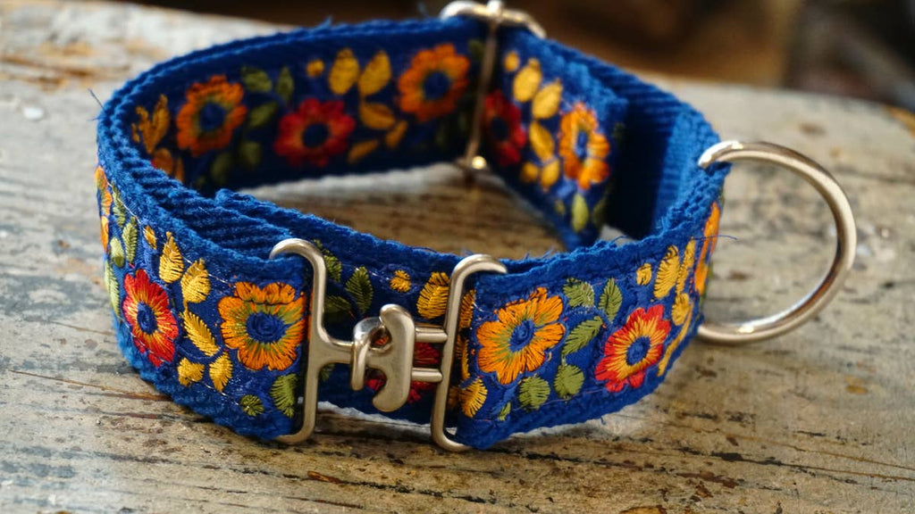 hundsfutter - “Summertime” wide collar for large and medium dogs - Dog.Dog.Cat.