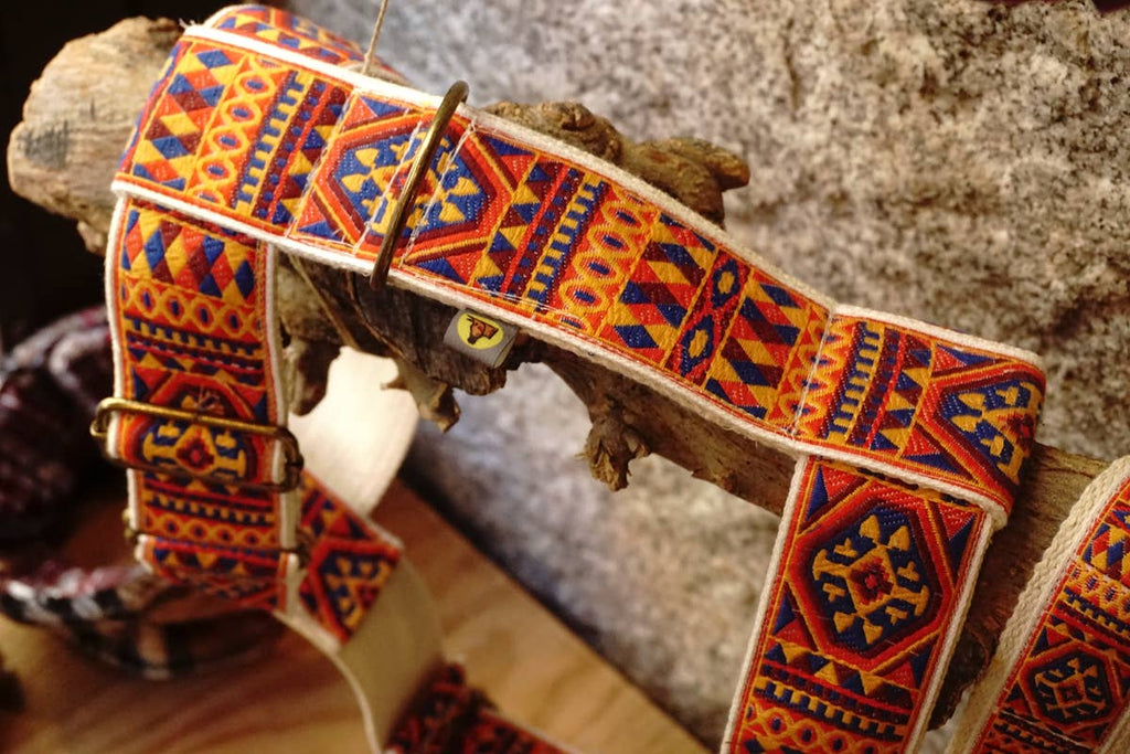 hundsfutter - "Ruben" dog harness and leash - Dog.Dog.Cat.