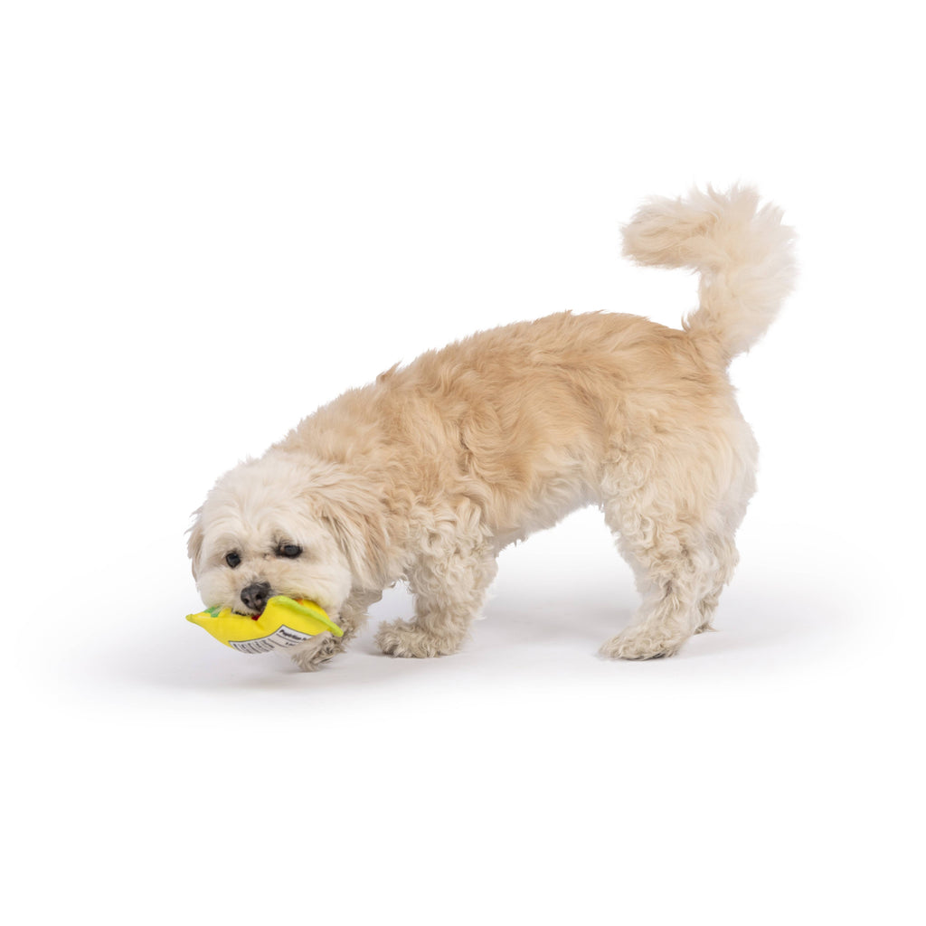 Tiny Tuff Sour Scratch - Dog.Dog.Cat.