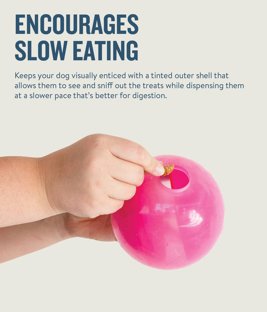 Planet Dog Orbee-Tuff Mazee Interactive Puzzle Dog Toy Pink - Dog.Dog.Cat.