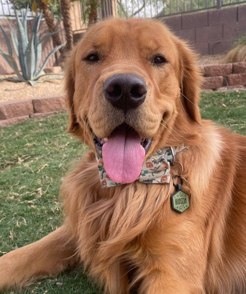 Besties Pets - Space Cadet Silicone Dog ID Tag: Chartreuse - Dog.Dog.Cat.