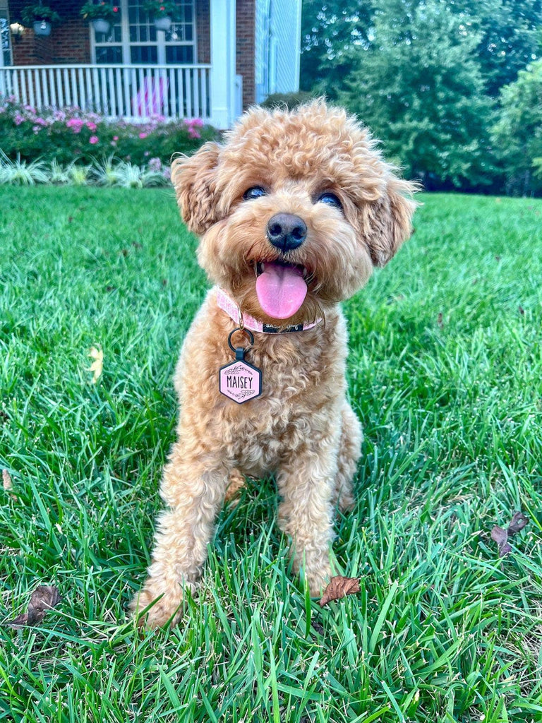 Besties Pets - Blossom Silicone Dog ID Tag - Dog.Dog.Cat.