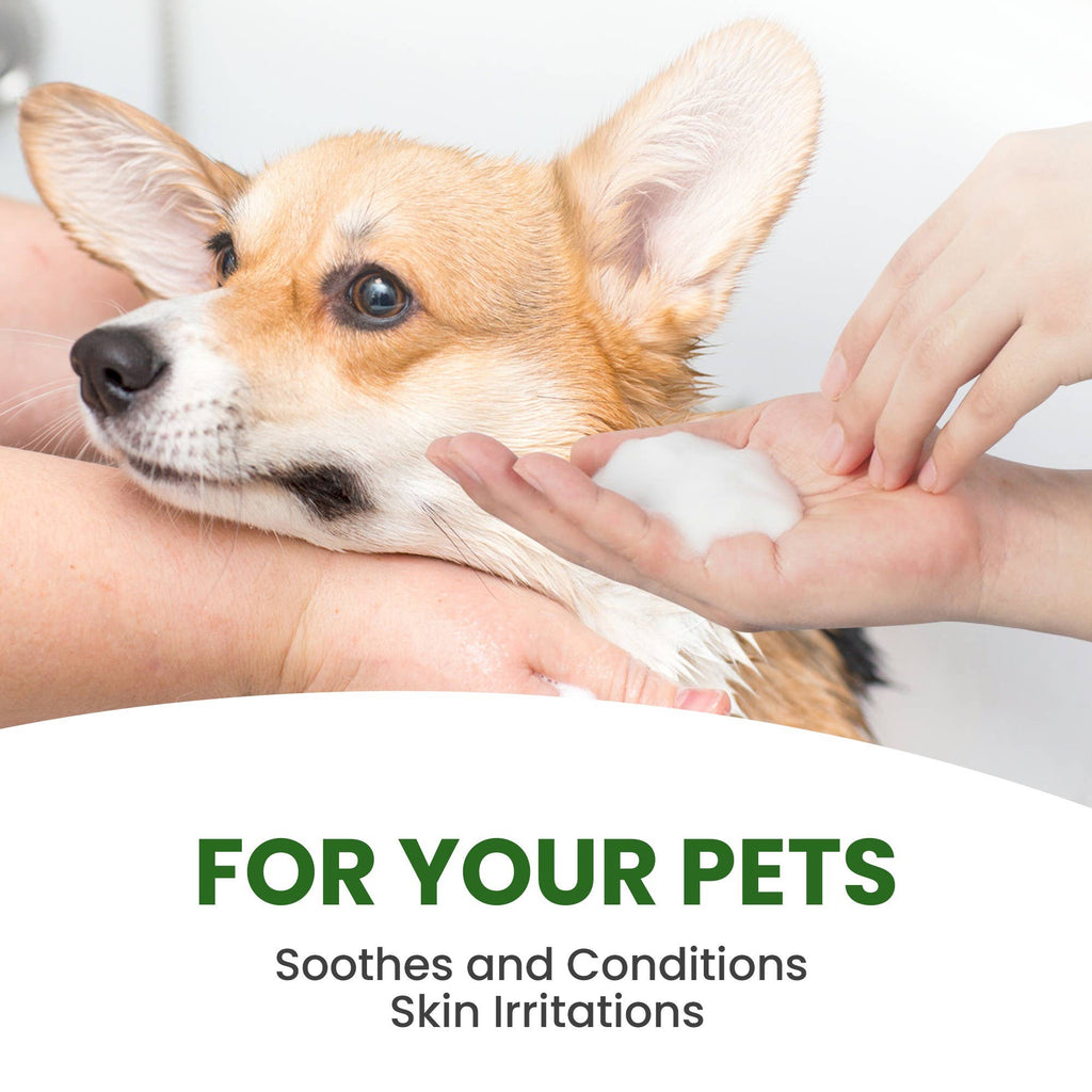 Aroma Paws - 13.5 Oz. Shampoo Rosemary Tea Tree - Dog.Dog.Cat.