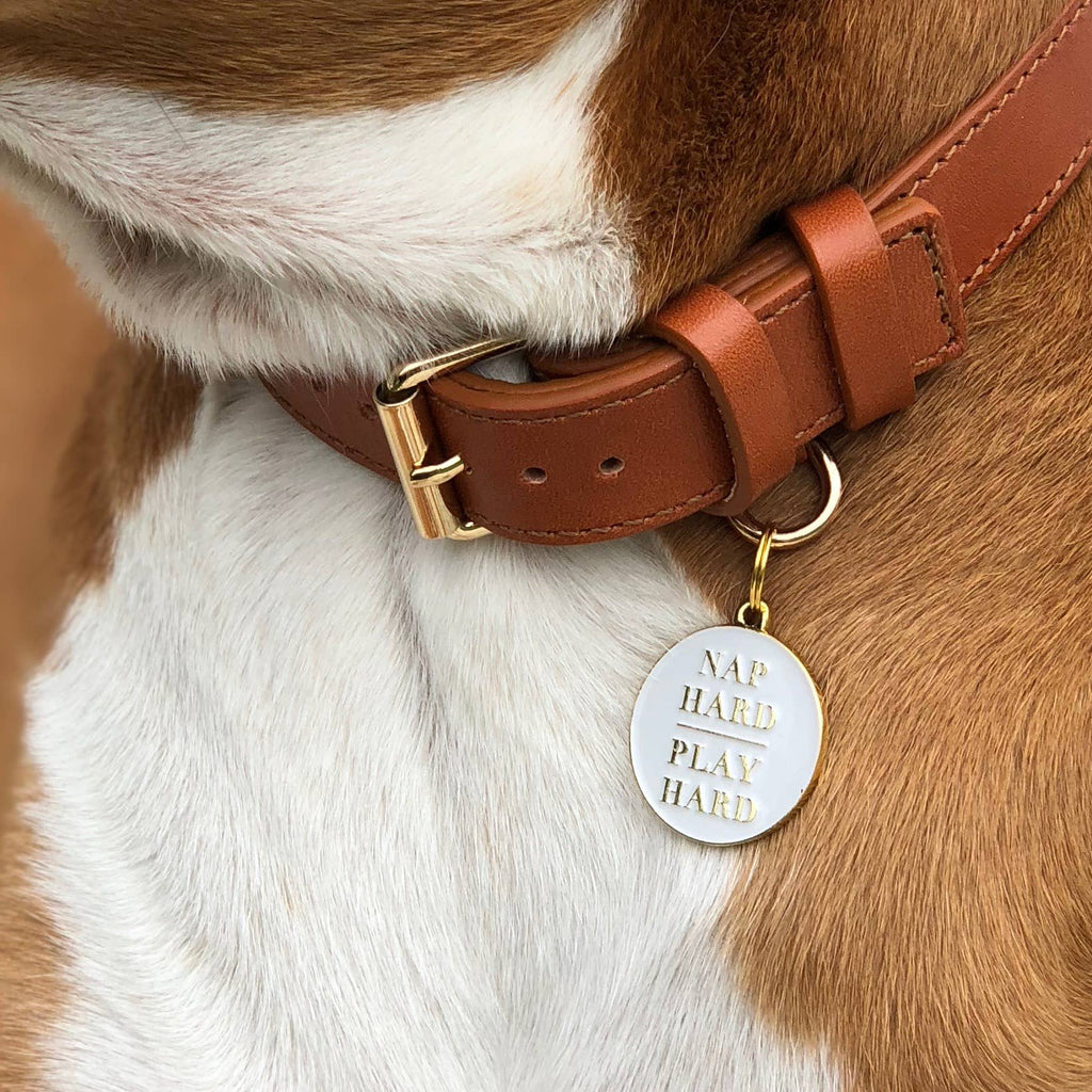 Two Tails Pet Company - Nap Hard Play Hard Pet ID Tag - Dog.Dog.Cat.