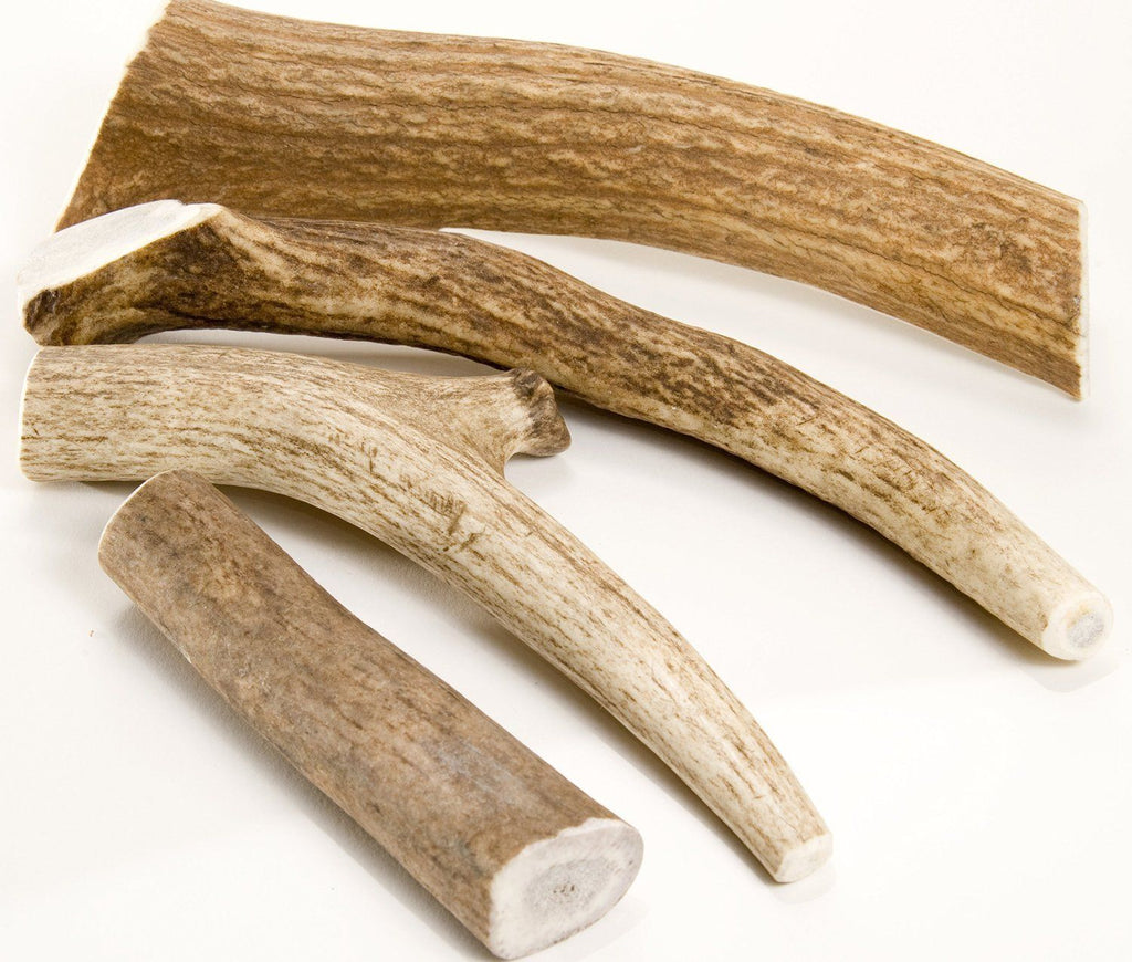 Elk Antler Dog Chews - Split  or Whole - Dog.Dog.Cat.