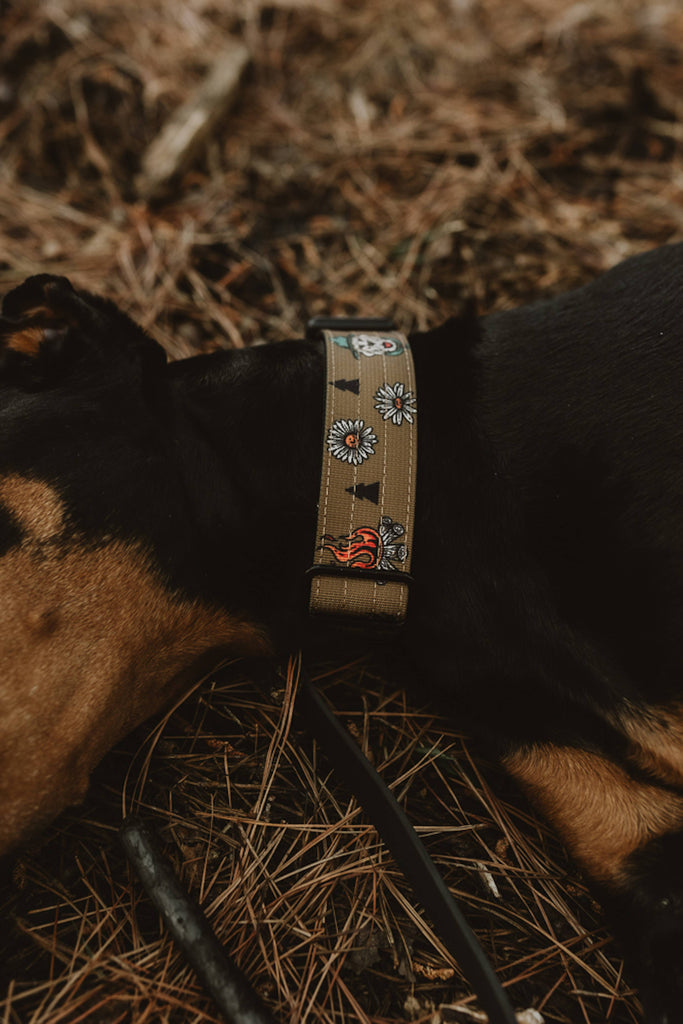 National Barks Dog Collar - Dog.Dog.Cat.