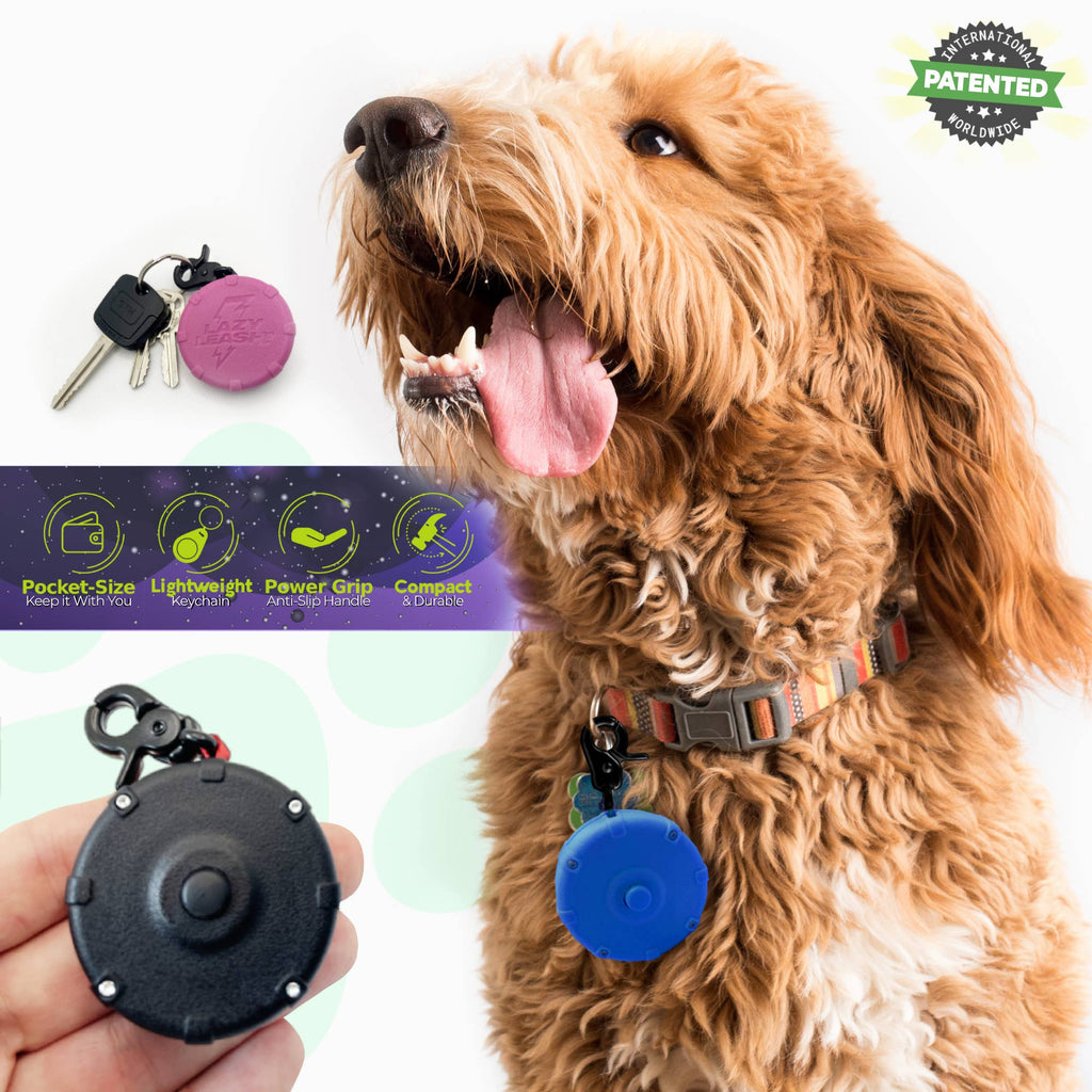 Lazy Leash! - LAZY LEASH! ⚡️ Mini Power Leash! - Dog.Dog.Cat.