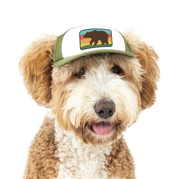 Bear Standard Lake Tahoe | Trucker Hat for Dogs - Dog.Dog.Cat.