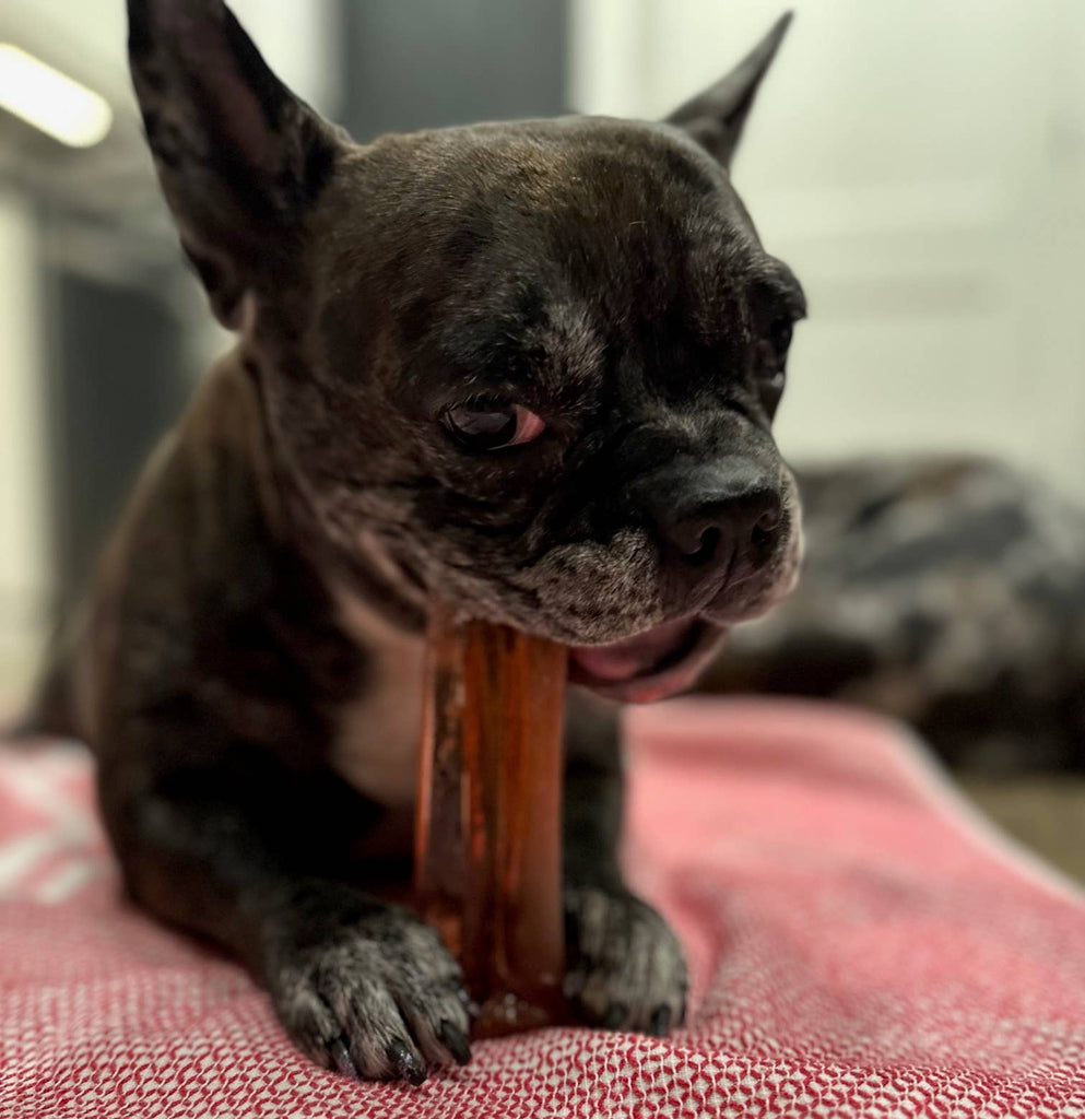 Mighty Marrows Collagen Dental Chew - Bacon - SM/LG - Dog.Dog.Cat.