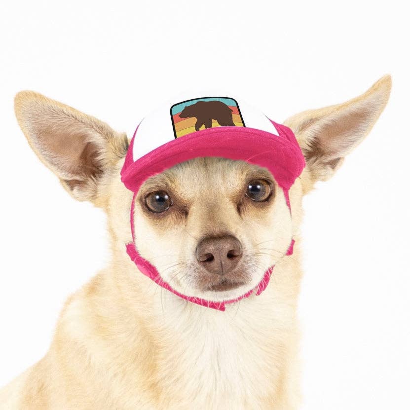Bear Standard Lake Tahoe | Trucker Hat for Dogs - Dog.Dog.Cat.