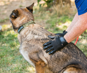 Ultimate Pet Grooming Glove - Dog.Dog.Cat.