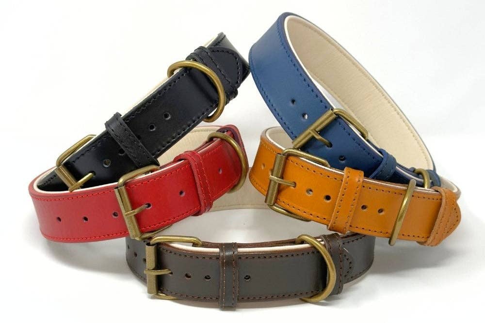 CustomFit – Soft Padded Blue Leather Dog Collar - Dog.Dog.Cat.