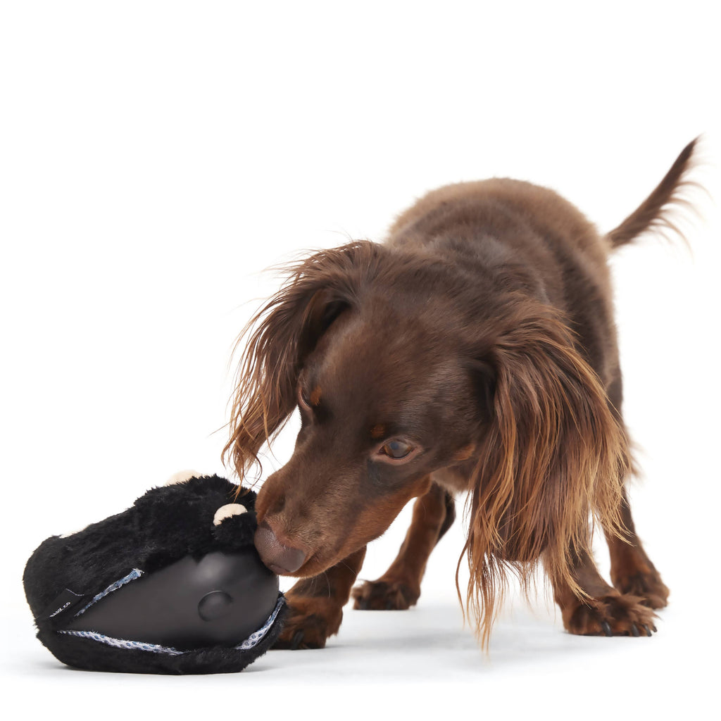 BARK Super Chewer Black Bear Bones Dog Chew Toy M/L - Dog.Dog.Cat.