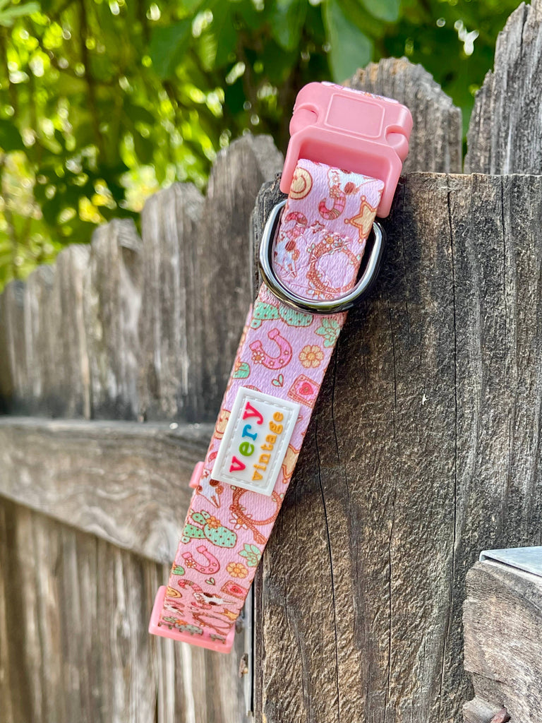Pink Western Dog Collar – Cactus Cowgirl Lightweight Collar - Dog.Dog.Cat.