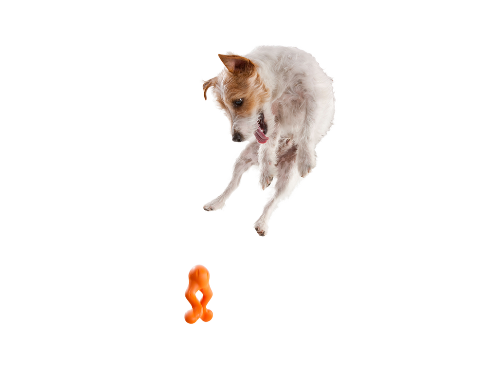West Paw - Tizzi® Puzzle Treat-Dispensing Dog Enrichment Toy - Dog.Dog.Cat.