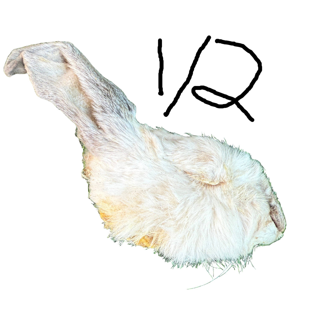 Golden Nibbles - Rabbit Half Head - Freeze-Dried Treat/Chew for Dogs - Dog.Dog.Cat.